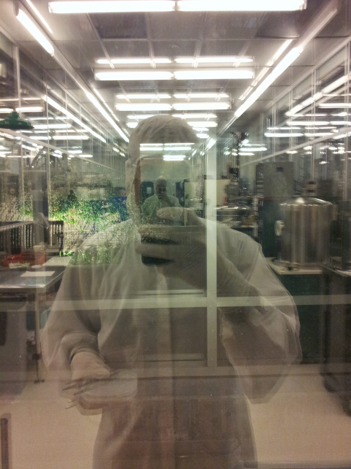 Michael Andregg reflected in the window of a semiconductor cleanroom, in a bunny suit